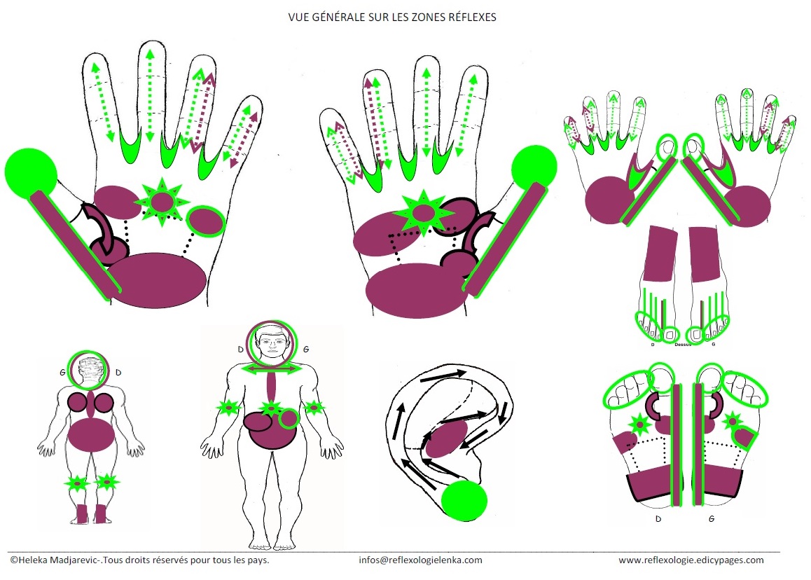 rflexologie-tout-le-corps