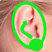 rflexologie-oreilles-fatigue